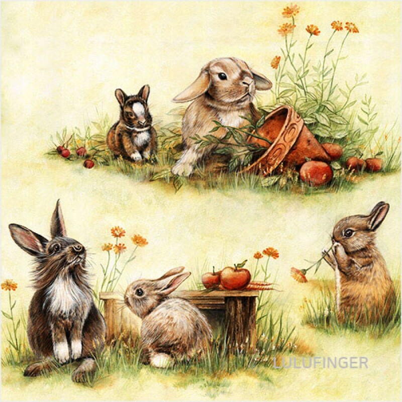 [DOMMOS] 2118010 cute rabbits 2A-01-272